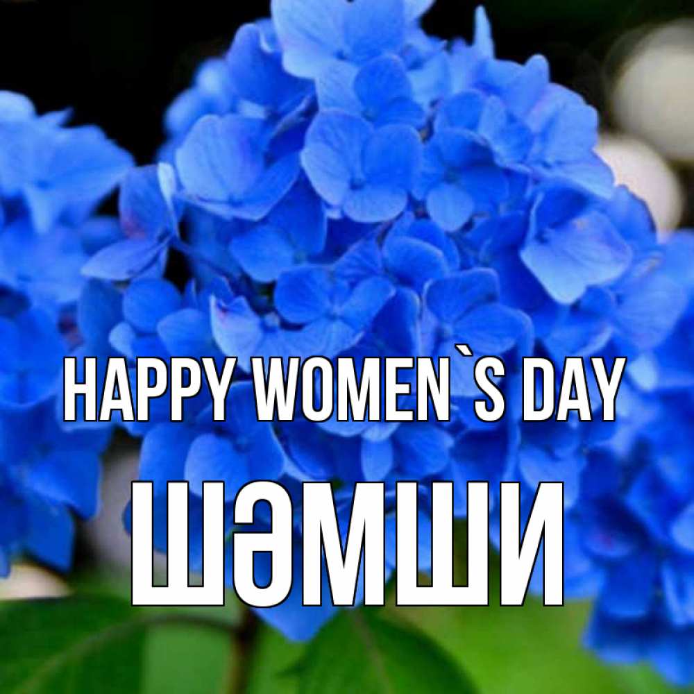 Greetings card с именем, ШӘМШИ happy women`s day синие цветы Greetings with text for free download 